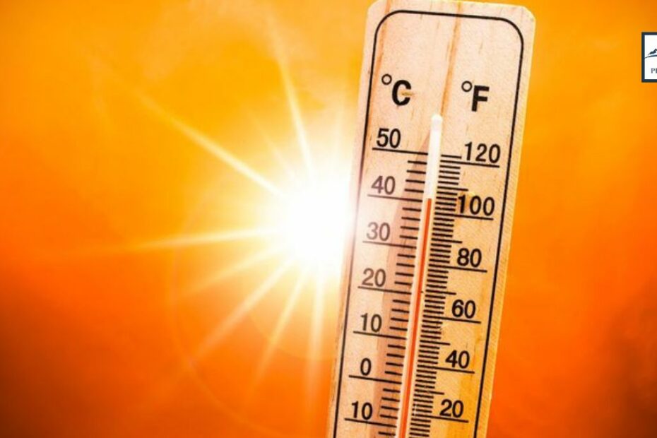 Heat Wave