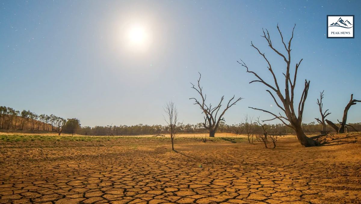 La Niña 2025