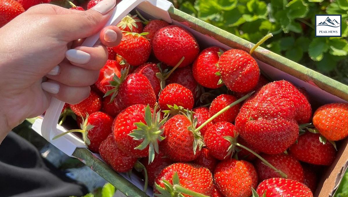 Strawberries