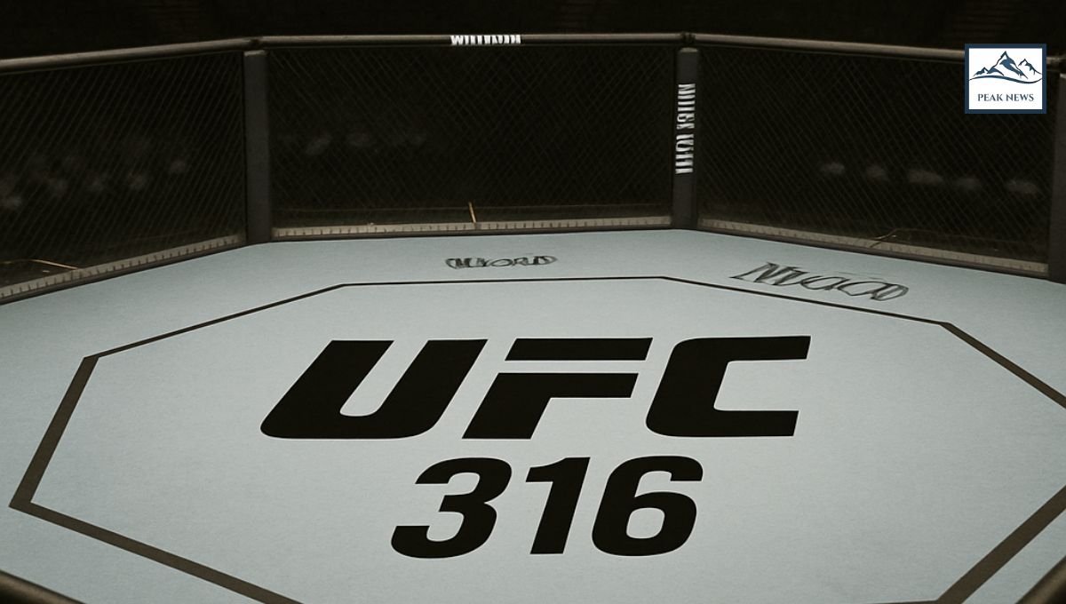 UFC 316